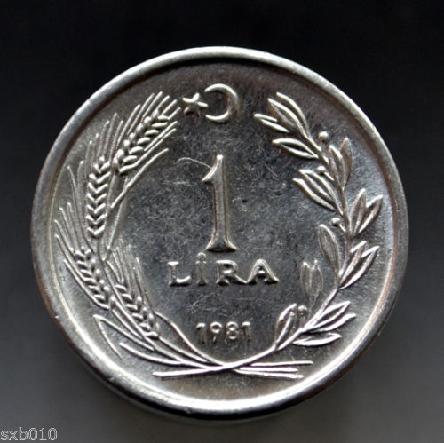 1 Lira 1981 Arka Yüz