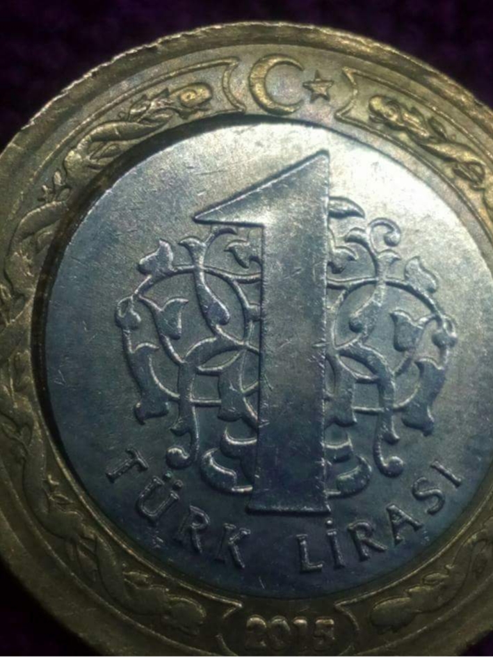 1 Lira (Göbek Kısımda Kayık) 2015 Arka Yüz