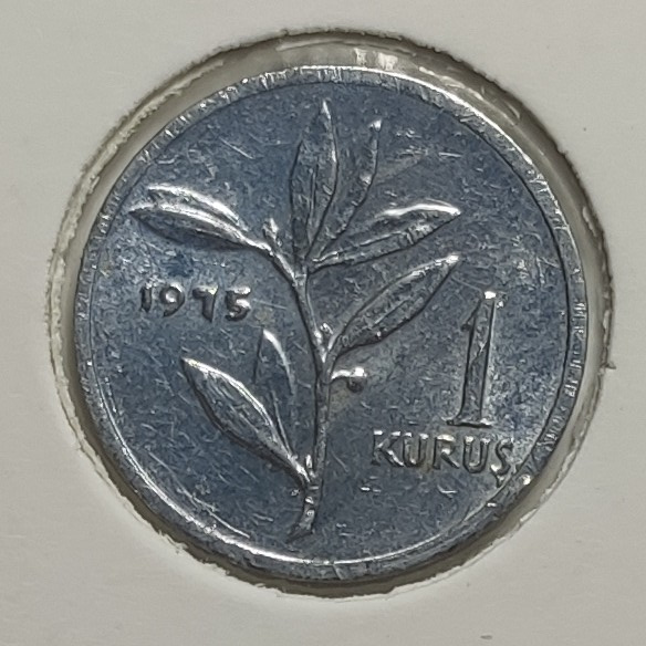 1 Kuruş 1975 Arka Yüz