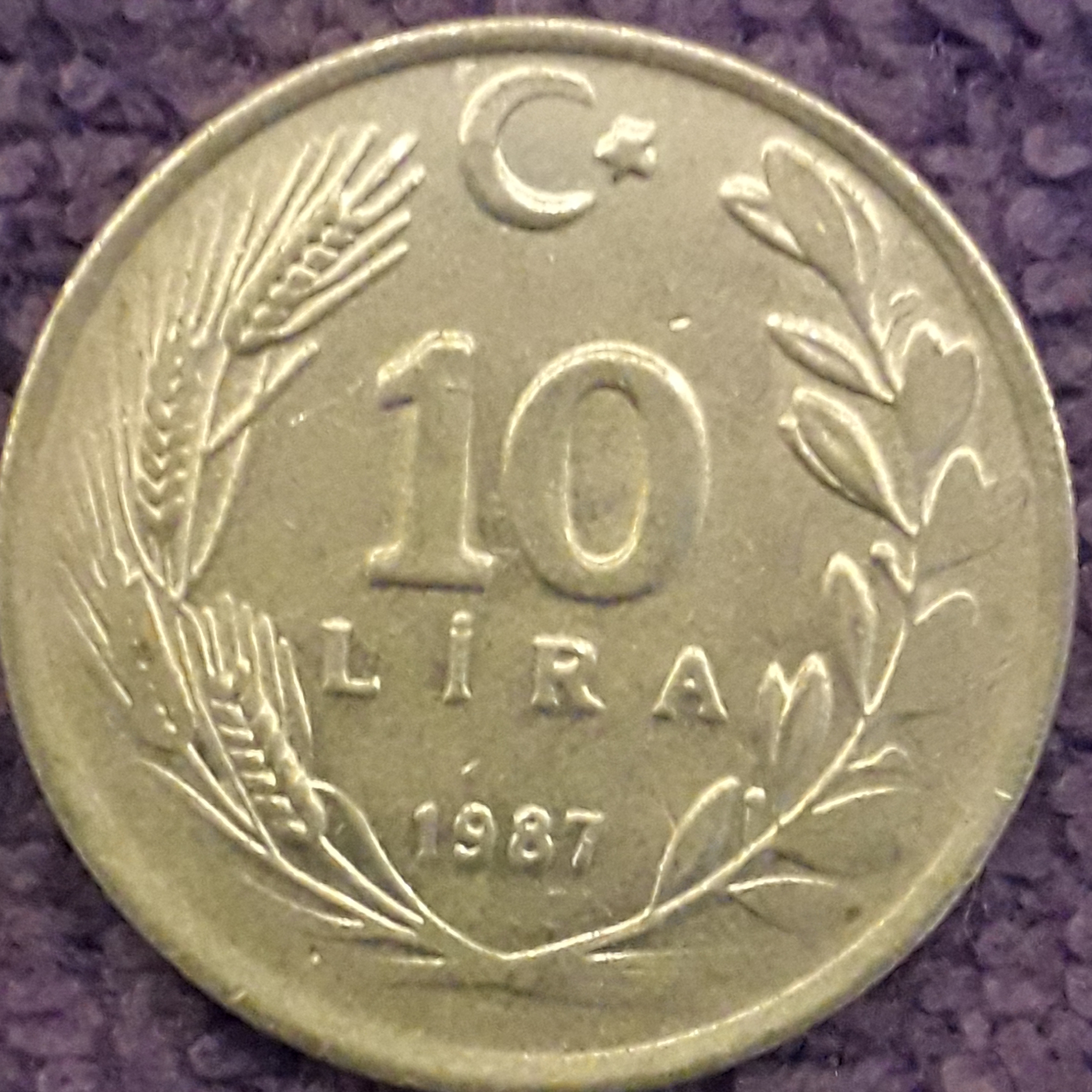 10 Lira (Silik Baskı) 1987 Arka Yüz