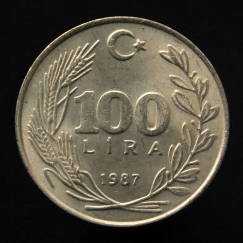 100 Lira 1987 Arka Yüz