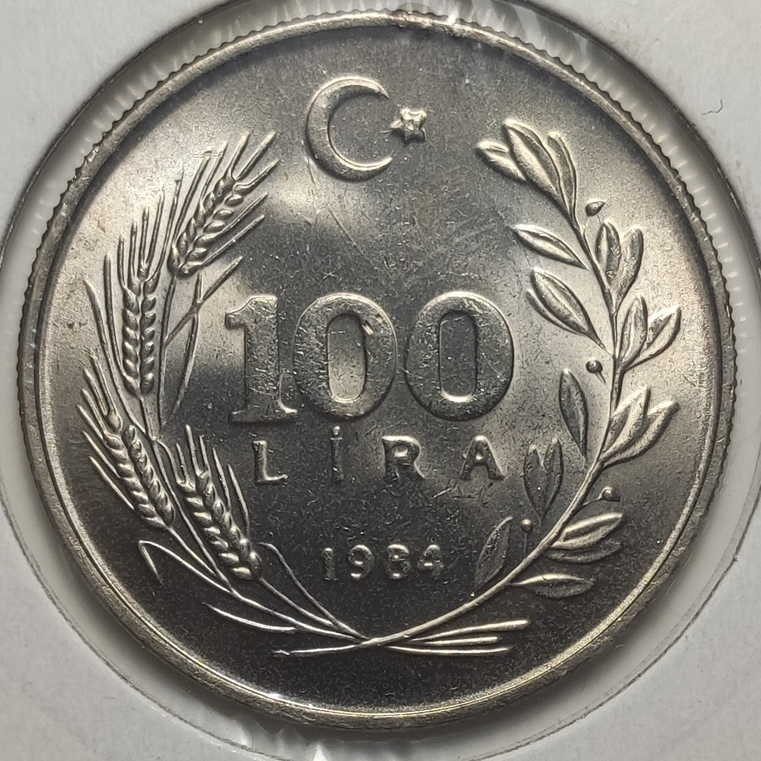 100 Lira 1984 Arka Yüz