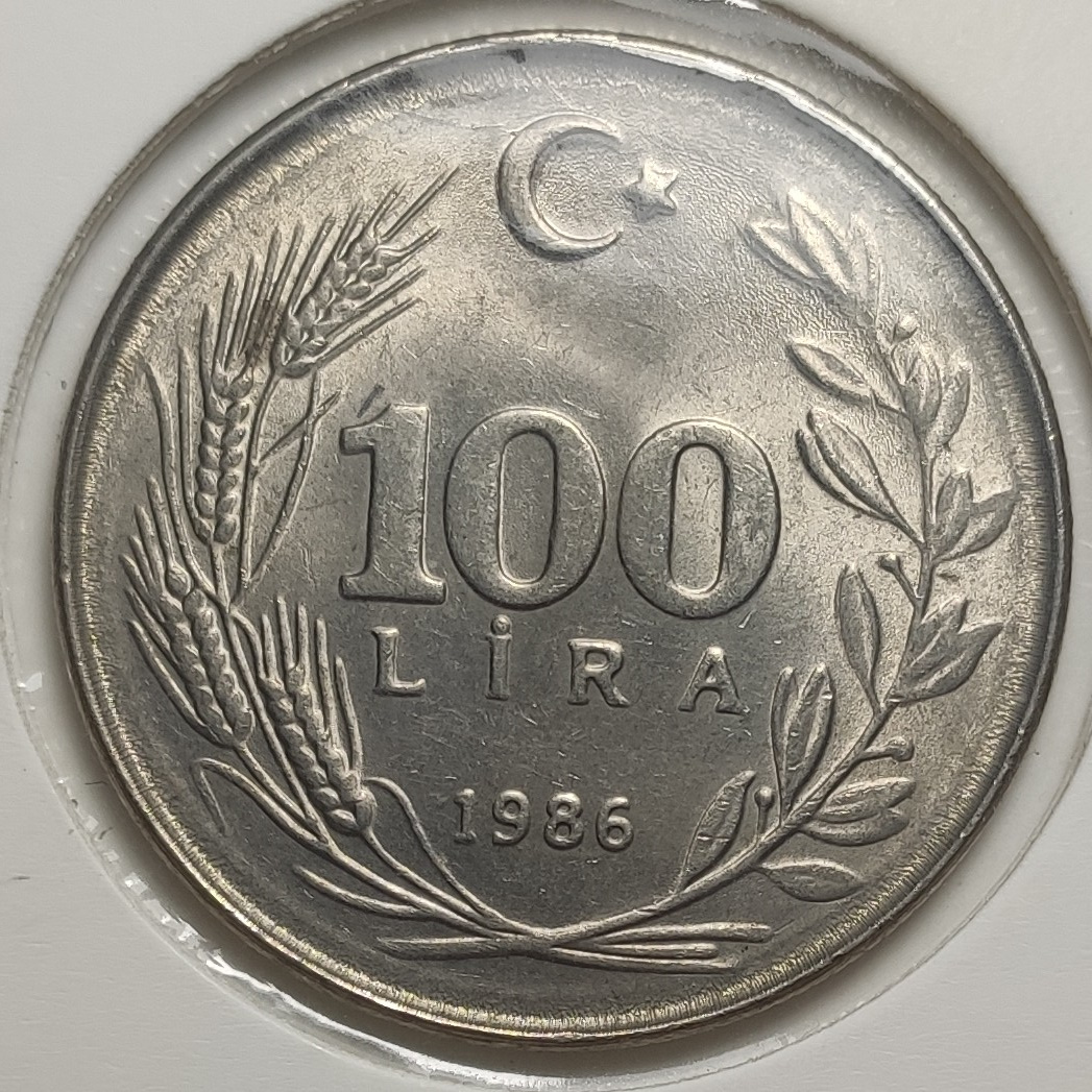 100 Lira 1986 Arka Yüz