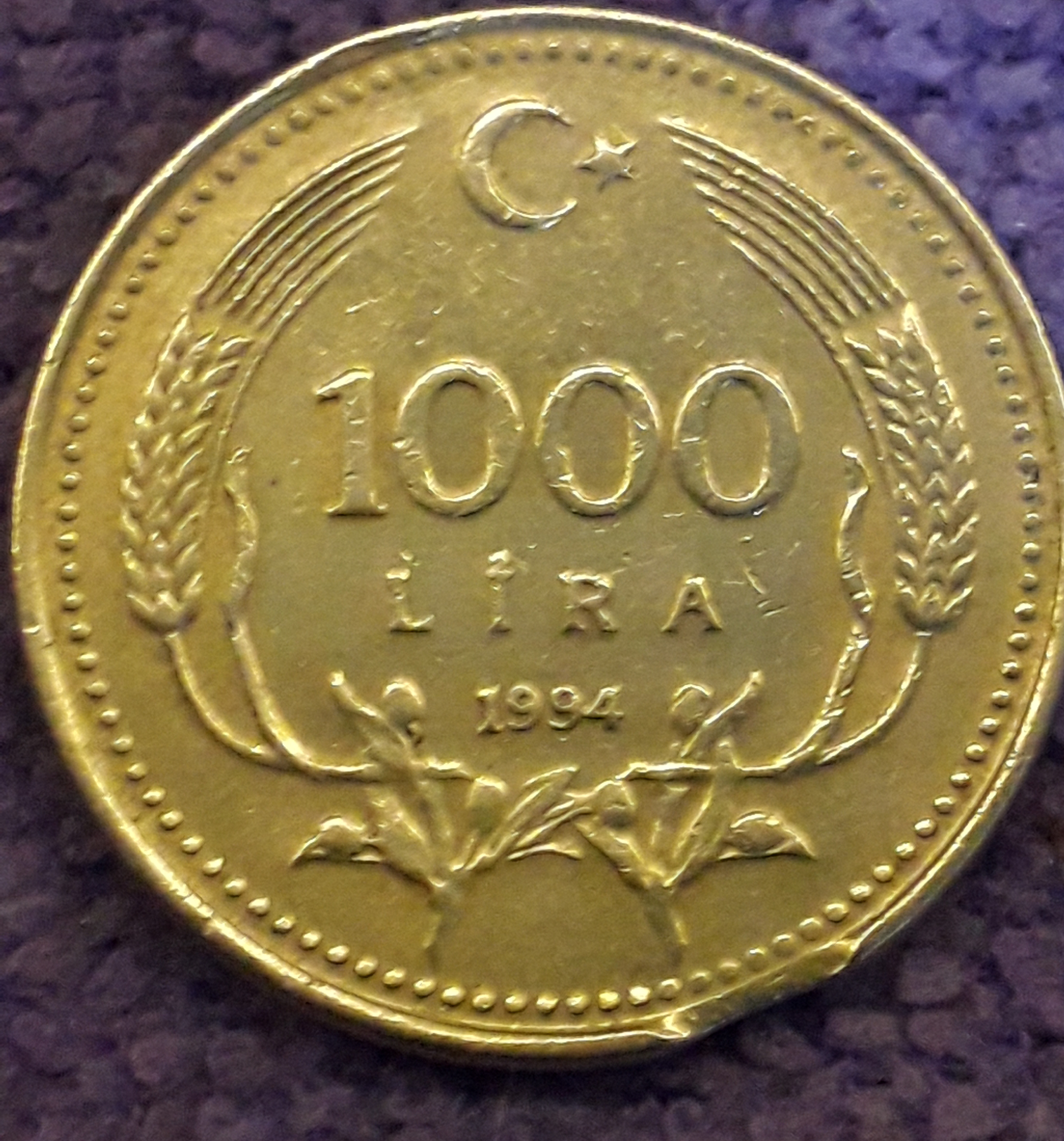 1000 Lira (Eksik Kısım) 1994 Arka Yüz
