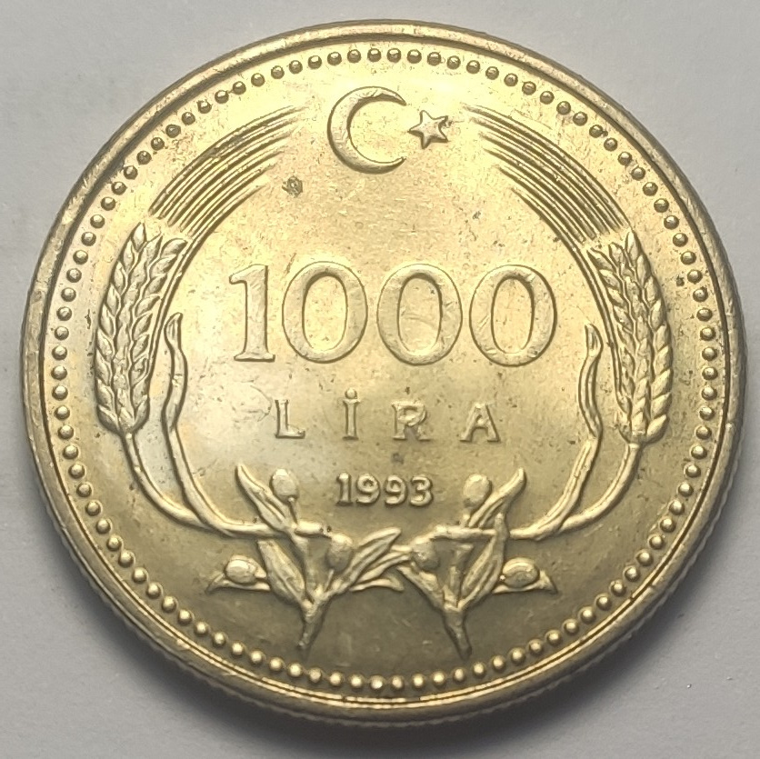 1000 Lira 1993 Arka Yüz
