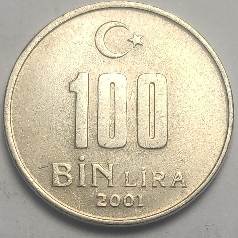 100.000 Lira 2001 Arka Yüz