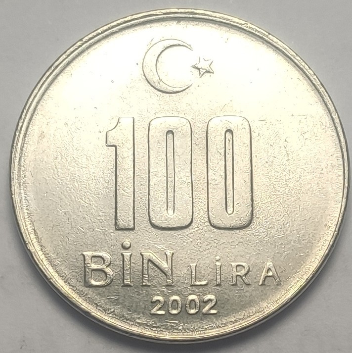 100.000 Lira 2002 Arka Yüz