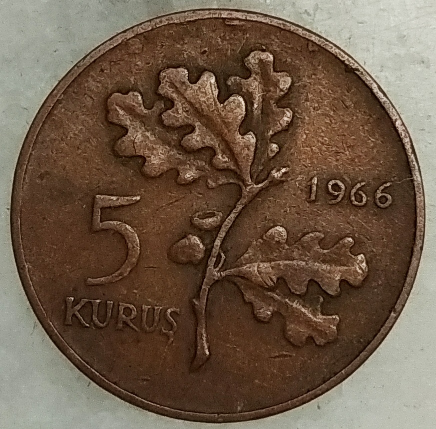 5 Kuruş 1966 Ön Yüz