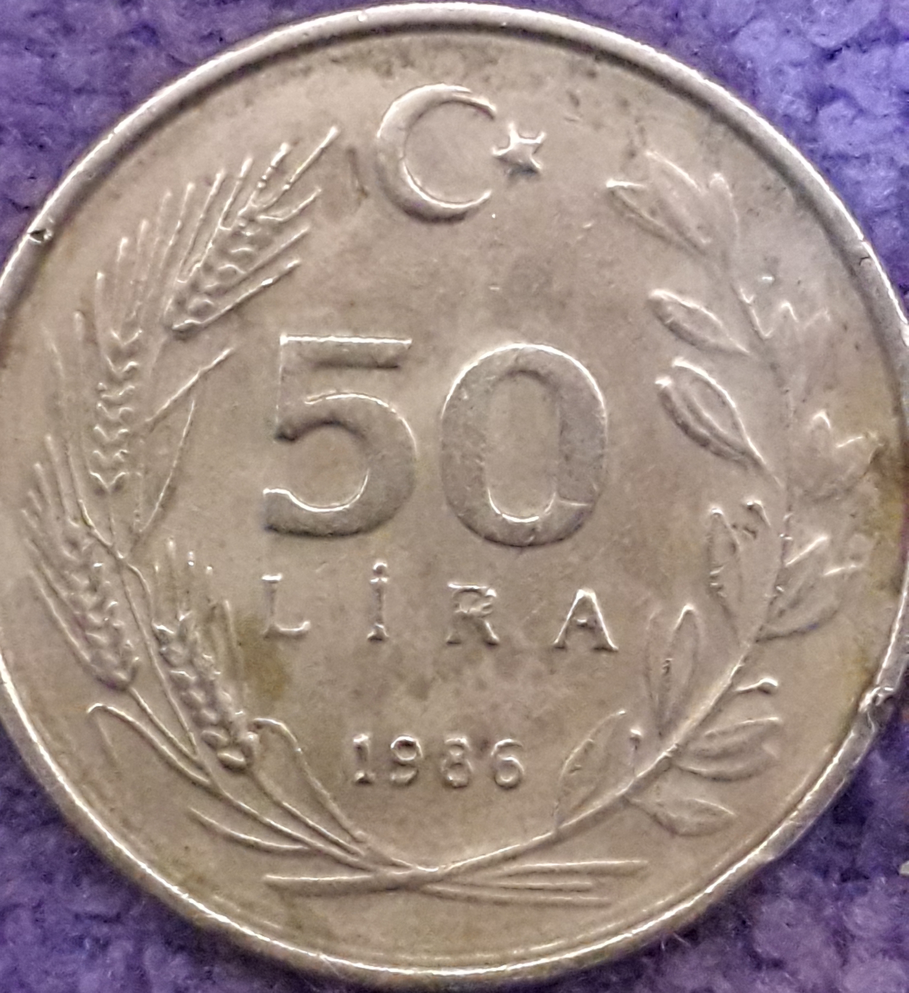 50 Lira (Gözyaşı  Çapağı) 1986 Arka Yüz