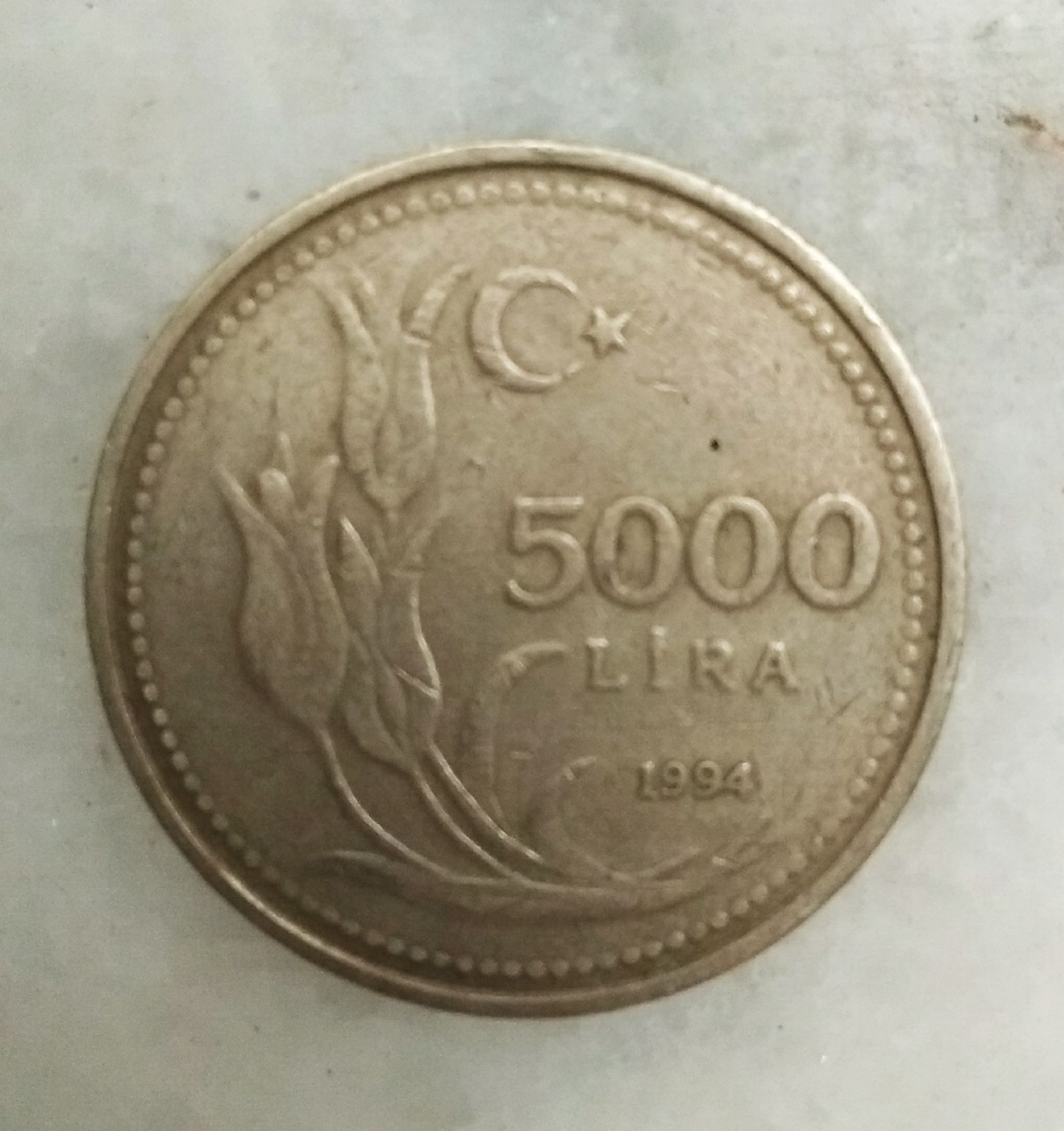 5000 Lira 1994 Arka Yüz