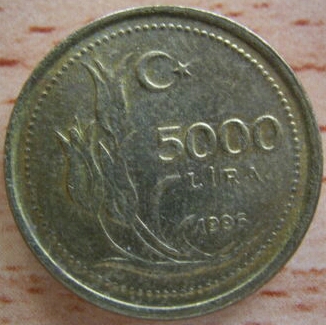 5000 Lira 1996 Arka Yüz