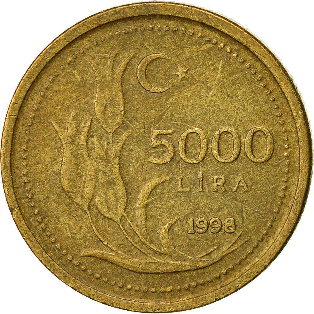 5000 Lira (İnce Baskı) 1998 Arka Yüz