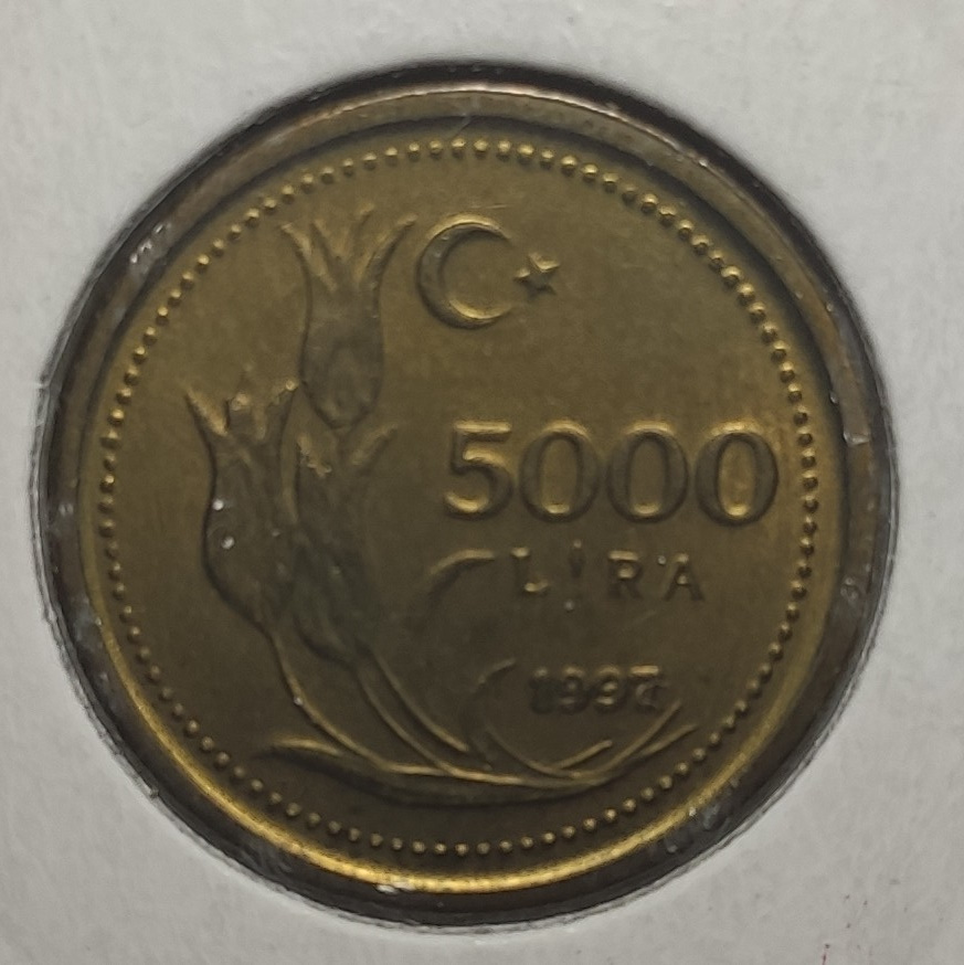 5000 Lira 1997 Arka Yüz