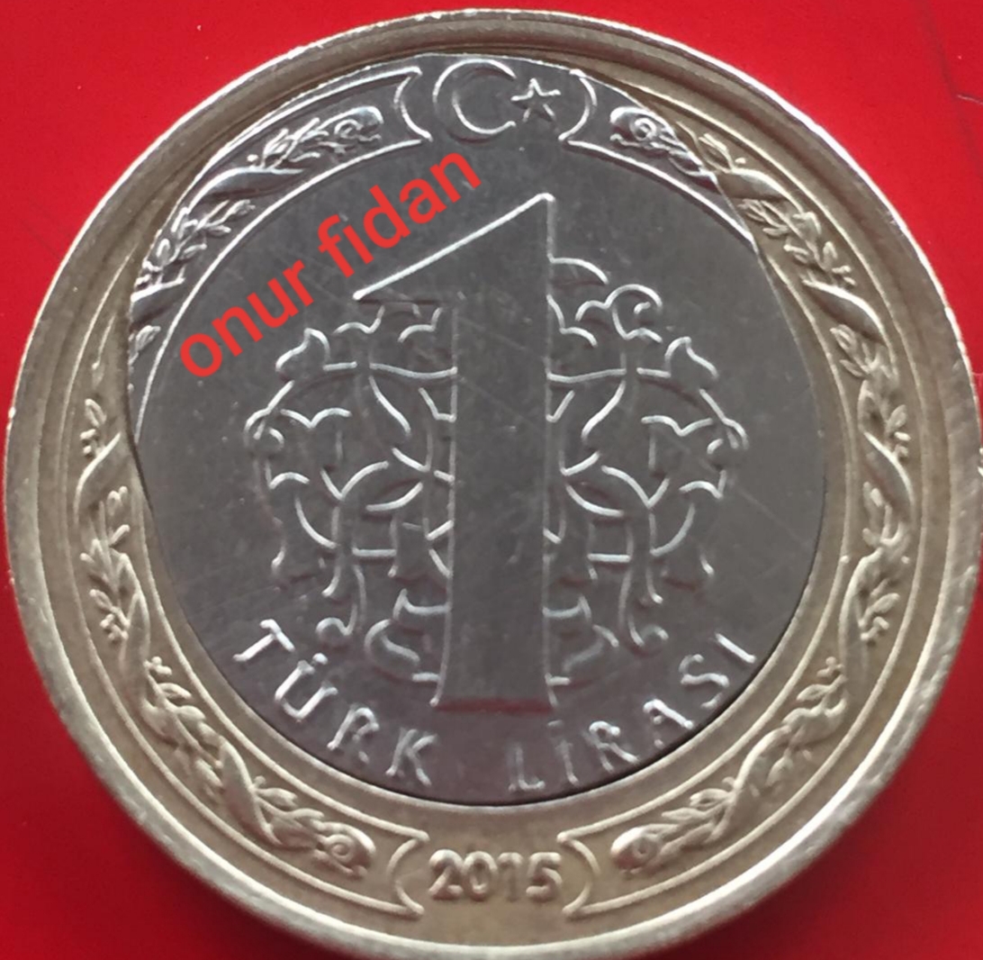 1 Lira (Kayık Göbek) 2015 Arka Yüz