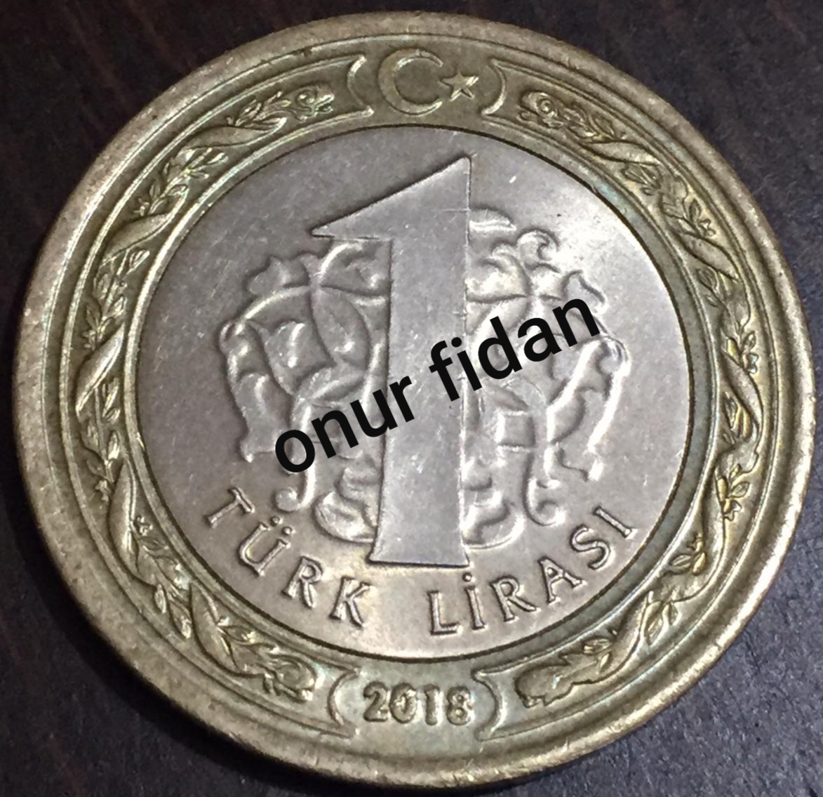 1 Lira (Orta Kısımda İri Çapak) 2018 Arka Yüz