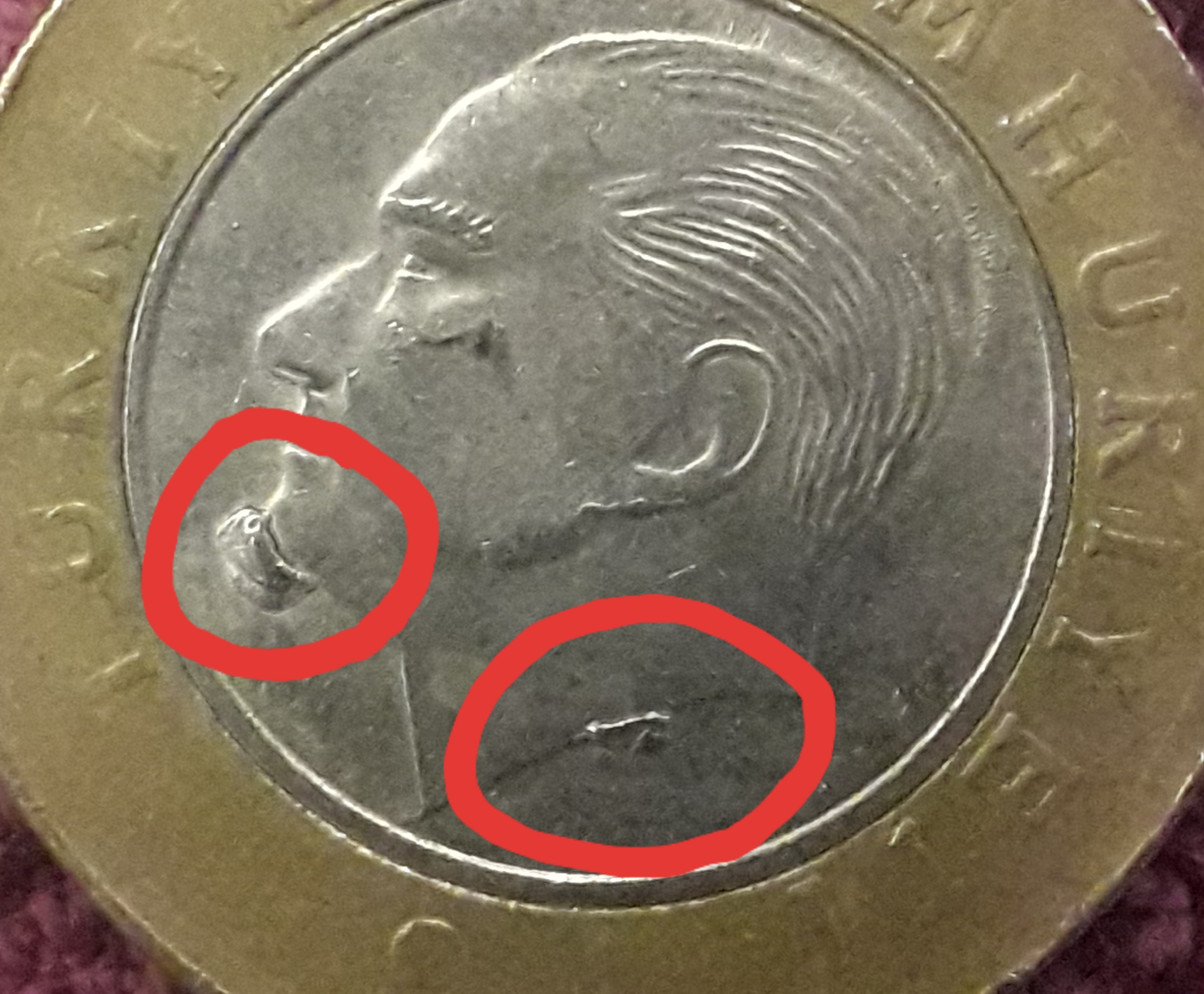 1 Lira (Top Sakal Çapaklı) 2014