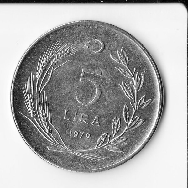 T.C 1979 yılı 5 Lira ( Çil Kondisyonda)