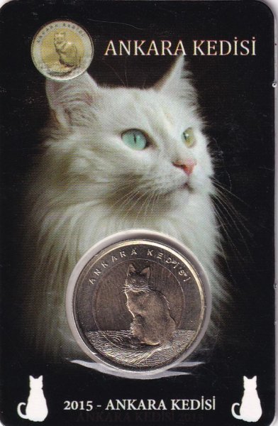 ANKARA KEDİSİ HAYVANLI BİMETAL PARA ÇİL