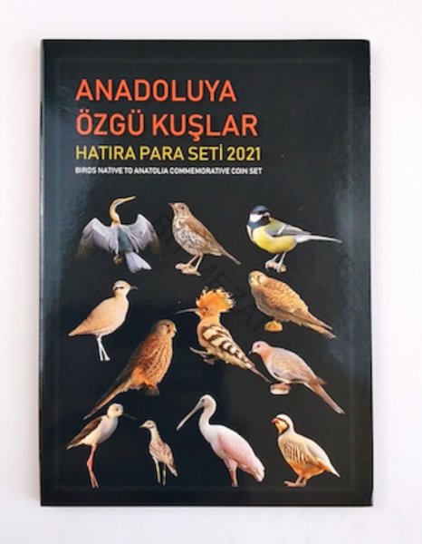 2021 Kuşlar Serisi