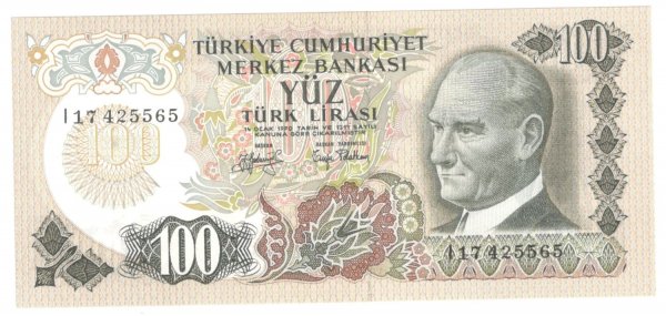 7. EMİSYON 100 TÜRK LİRASI I17 SERİSİ ÇİL