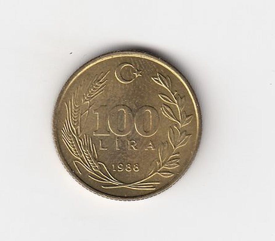 100 Lira 1988 Arka Yüz