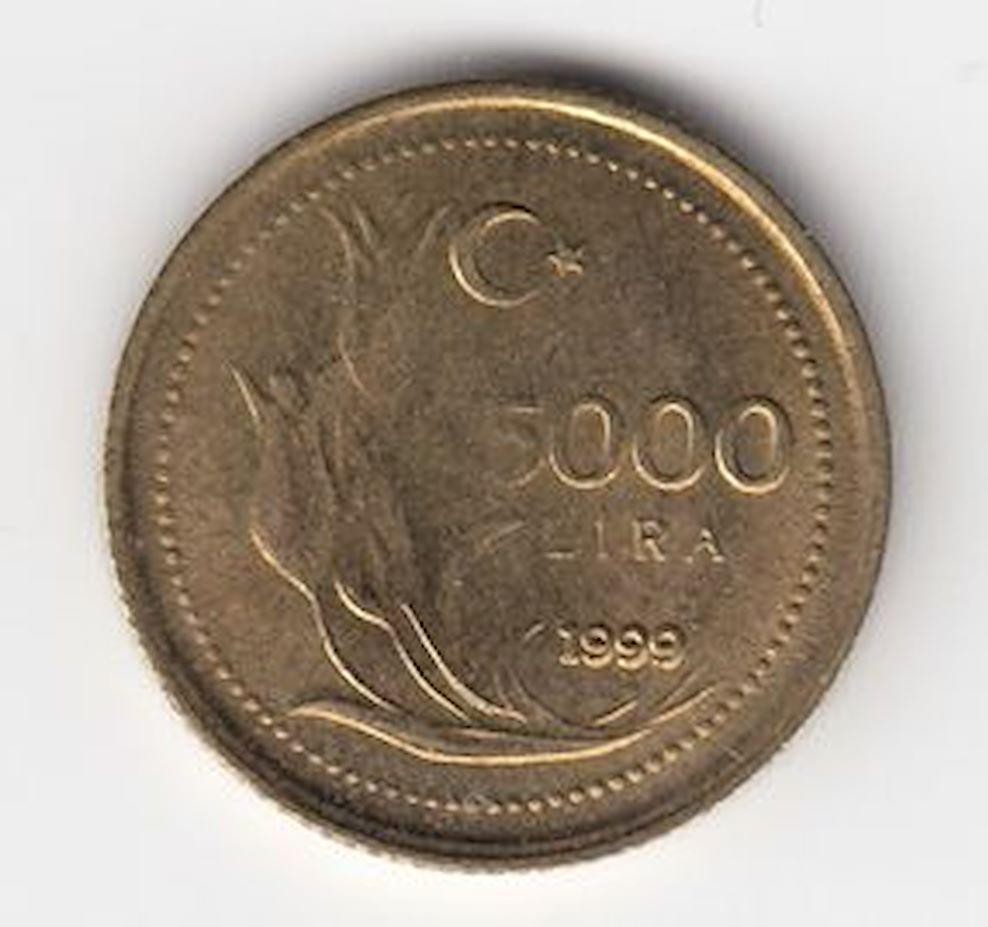 5000 Lira 1999 Arka Yüz