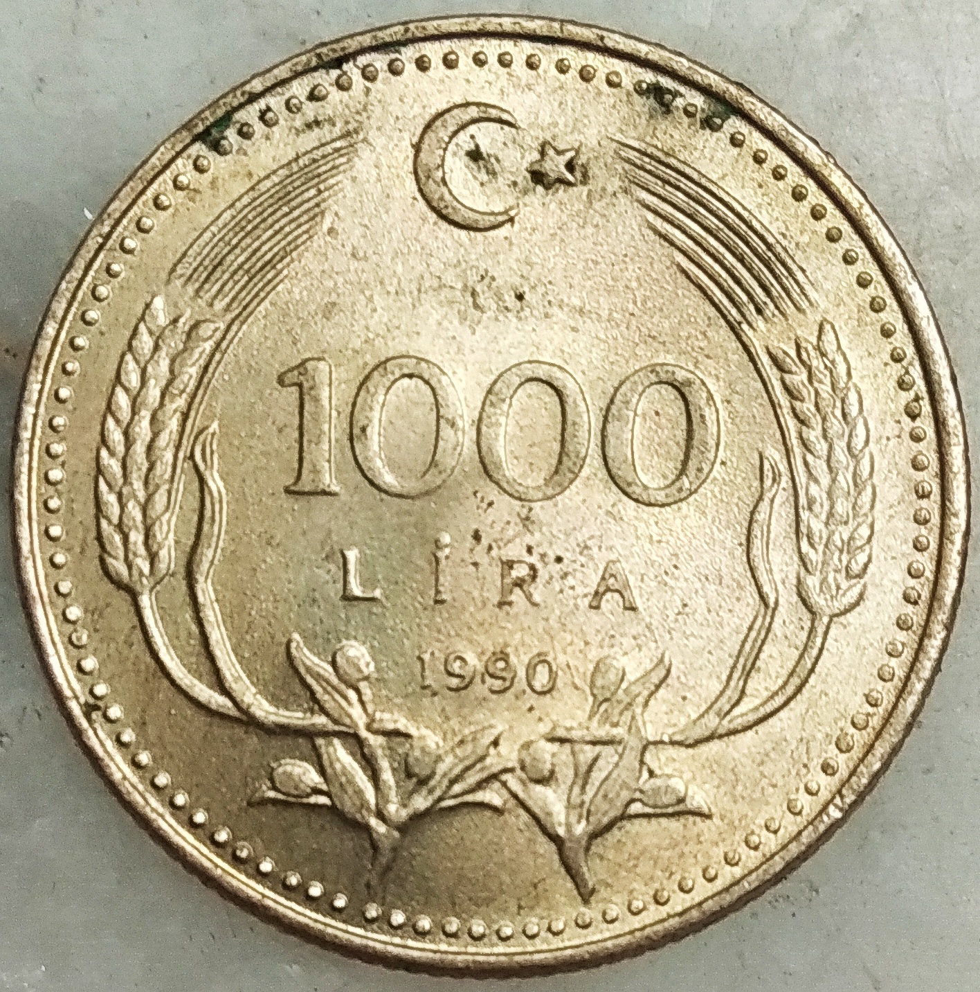 1000 Lira 1990 Arka Yüz